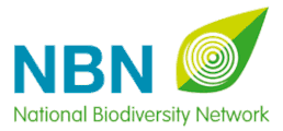 {/assets/images/partners/nbn.png}