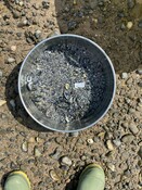 LIND_2023_TEST02_INF.jpg