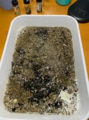 AVON_2023_TEST03_INF.jpg