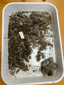 AVON_2023_TEST04_INF.jpg