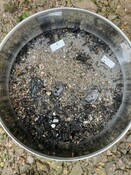 AVON_2023_TEST05_INF.jpg